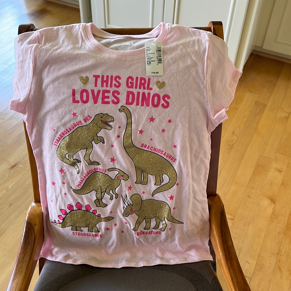 Pink Dino shirt from the children’s place nwt